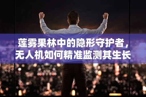 莲雾果林中的隐形守护者，无人机如何精准监测其生长状态？