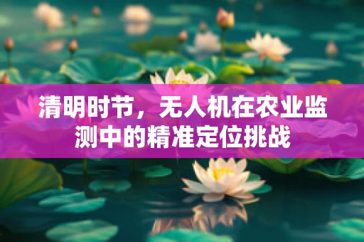 清明时节，无人机在农业监测中的精准定位挑战