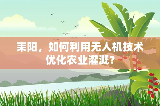 耒阳，如何利用无人机技术优化农业灌溉？