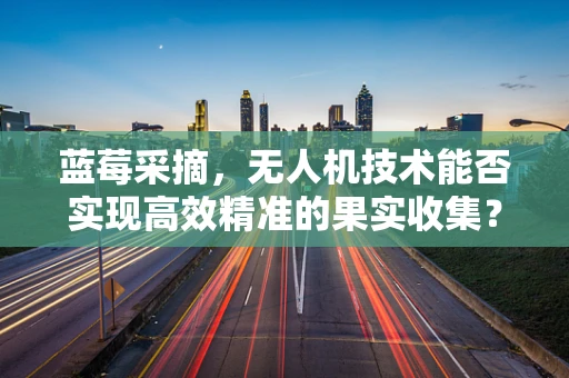 蓝莓采摘，无人机技术能否实现高效精准的果实收集？