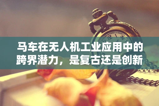 马车在无人机工业应用中的跨界潜力，是复古还是创新？
