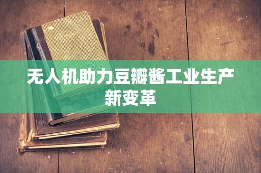 无人机助力豆瓣酱工业生产新变革