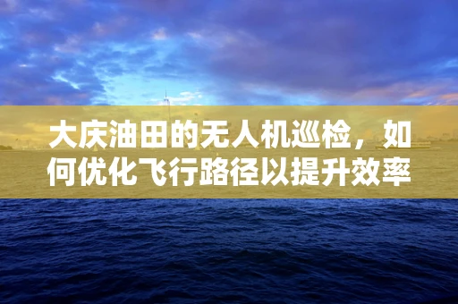 大庆油田的无人机巡检，如何优化飞行路径以提升效率？