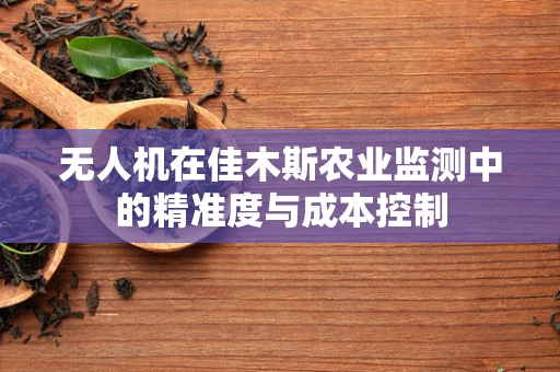 无人机在佳木斯农业监测中的精准度与成本控制