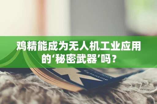 鸡精能成为无人机工业应用的‘秘密武器’吗？