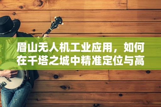眉山无人机工业应用，如何在千塔之城中精准定位与高效巡检？