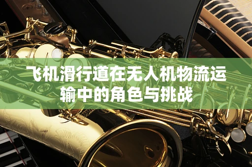 飞机滑行道在无人机物流运输中的角色与挑战