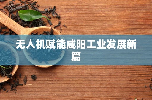 无人机赋能咸阳工业发展新篇