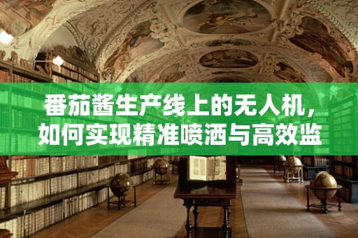 番茄酱生产线上的无人机，如何实现精准喷洒与高效监控？