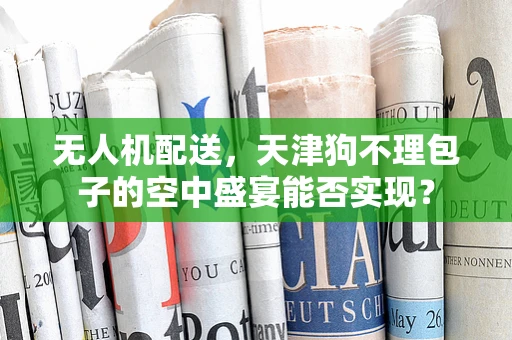 无人机配送，天津狗不理包子的空中盛宴能否实现？