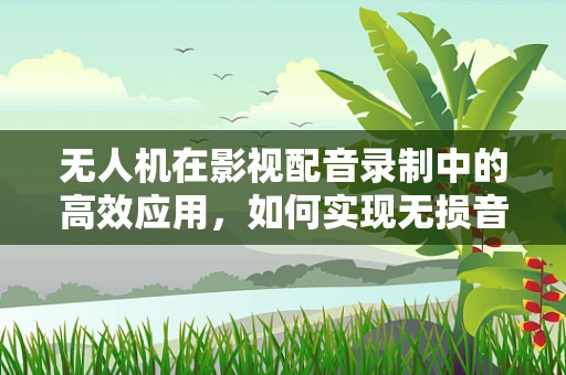 无人机在影视配音录制中的高效应用，如何实现无损音质与精准定位？
