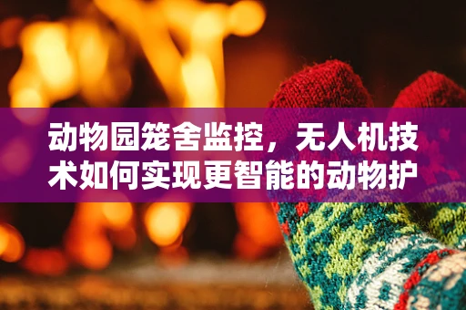 动物园笼舍监控，无人机技术如何实现更智能的动物护理？