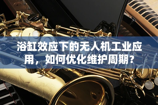 浴缸效应下的无人机工业应用，如何优化维护周期？