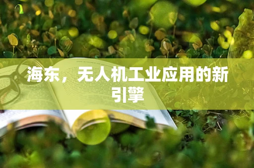 海东，无人机工业应用的新引擎