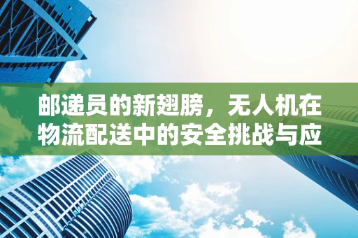 邮递员的新翅膀，无人机在物流配送中的安全挑战与应对策略