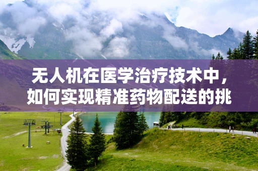 无人机在医学治疗技术中，如何实现精准药物配送的挑战与机遇？