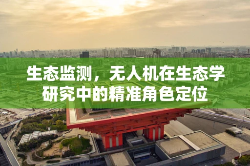 生态监测，无人机在生态学研究中的精准角色定位