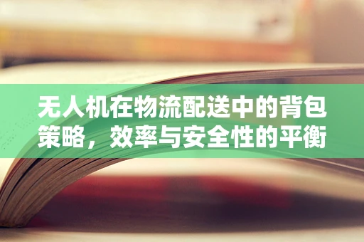 无人机在物流配送中的背包策略，效率与安全性的平衡挑战
