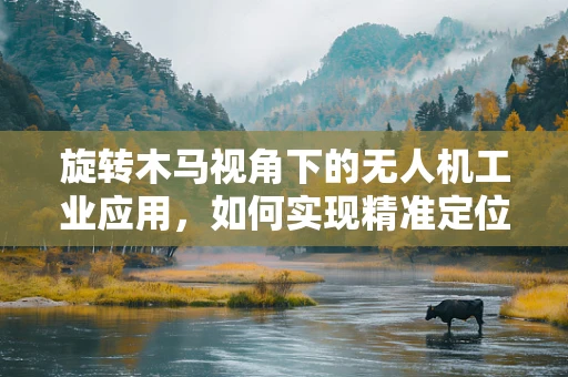 旋转木马视角下的无人机工业应用，如何实现精准定位与安全控制？