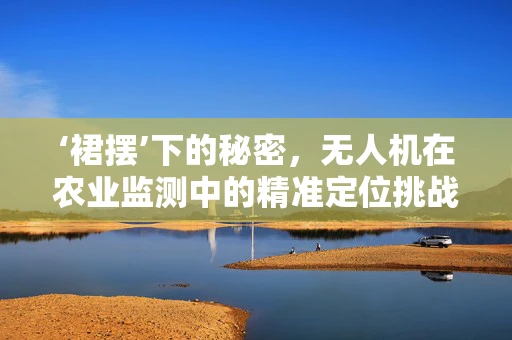‘裙摆’下的秘密，无人机在农业监测中的精准定位挑战