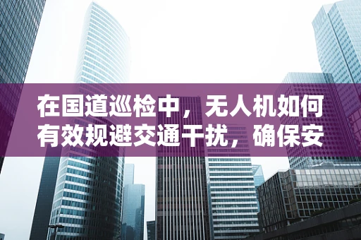 在国道巡检中，无人机如何有效规避交通干扰，确保安全作业？