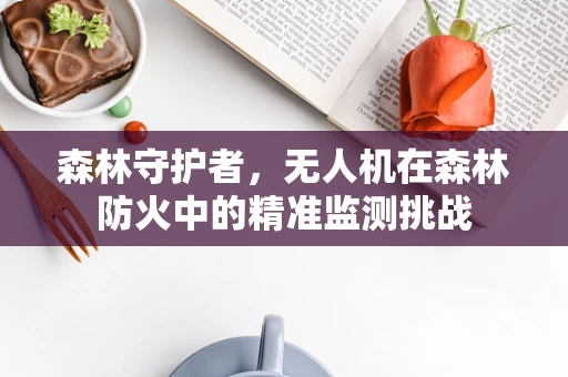 森林守护者，无人机在森林防火中的精准监测挑战