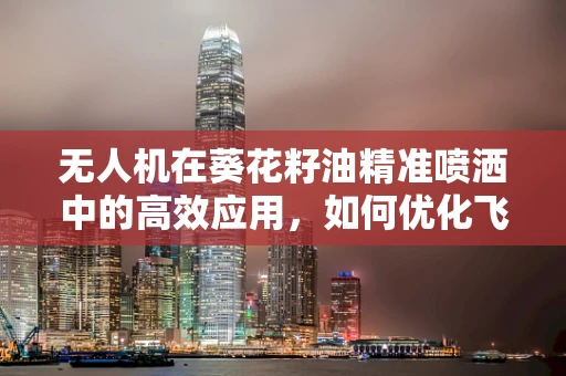 无人机在葵花籽油精准喷洒中的高效应用，如何优化飞行路径以减少油料浪费？