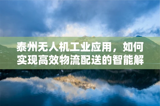 泰州无人机工业应用，如何实现高效物流配送的智能解决方案？