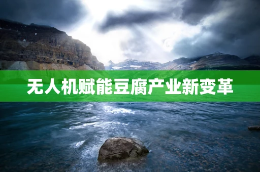 无人机赋能豆腐产业新变革