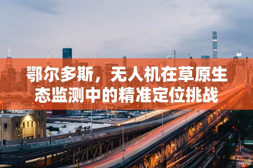 鄂尔多斯，无人机在草原生态监测中的精准定位挑战