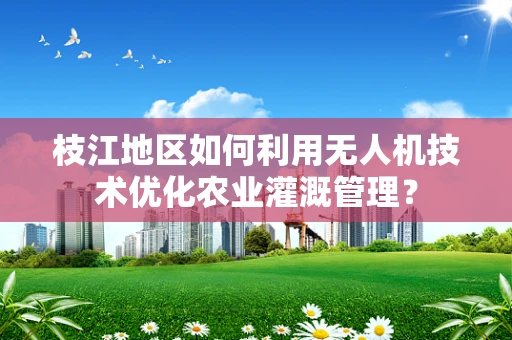 枝江地区如何利用无人机技术优化农业灌溉管理？