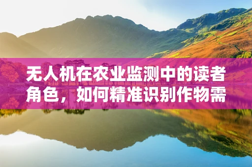 无人机在农业监测中的读者角色，如何精准识别作物需求？