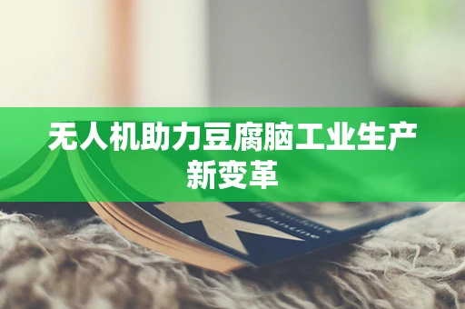 无人机助力豆腐脑工业生产新变革