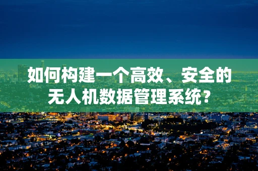 如何构建一个高效、安全的无人机数据管理系统？