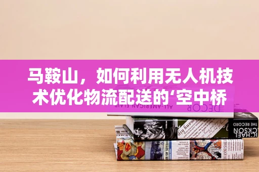 马鞍山，如何利用无人机技术优化物流配送的‘空中桥梁’？