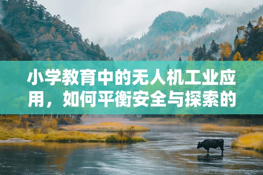 小学教育中的无人机工业应用，如何平衡安全与探索的边界？
