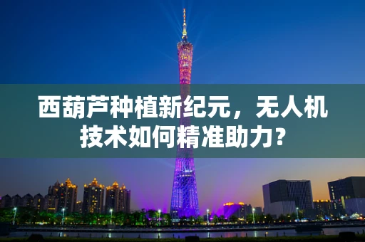 西葫芦种植新纪元，无人机技术如何精准助力？