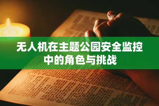 无人机在主题公园安全监控中的角色与挑战