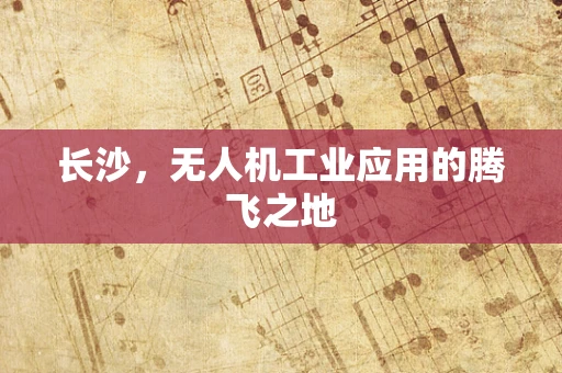 长沙，无人机工业应用的腾飞之地