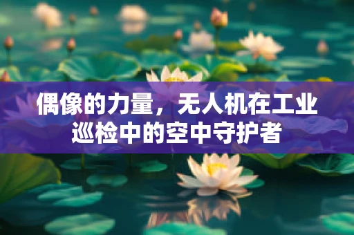 偶像的力量，无人机在工业巡检中的空中守护者