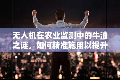 无人机在农业监测中的牛油之谜，如何精准施用以提升效率？
