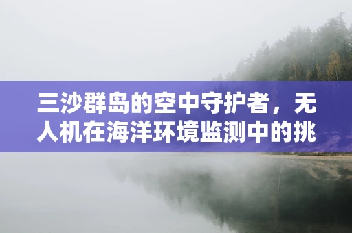 三沙群岛的空中守护者，无人机在海洋环境监测中的挑战与机遇