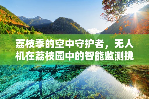 荔枝季的空中守护者，无人机在荔枝园中的智能监测挑战
