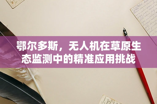 鄂尔多斯，无人机在草原生态监测中的精准应用挑战