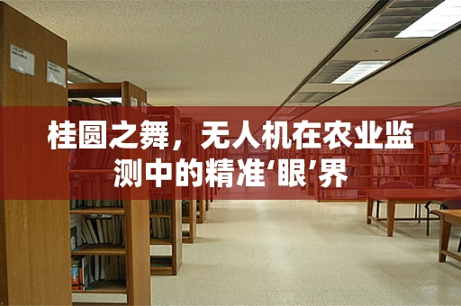桂圆之舞，无人机在农业监测中的精准‘眼’界