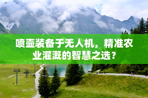 喷壶装备于无人机，精准农业灌溉的智慧之选？