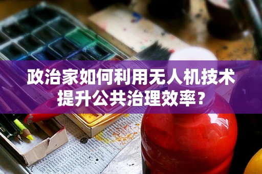 政治家如何利用无人机技术提升公共治理效率？