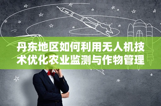 丹东地区如何利用无人机技术优化农业监测与作物管理的挑战与机遇？