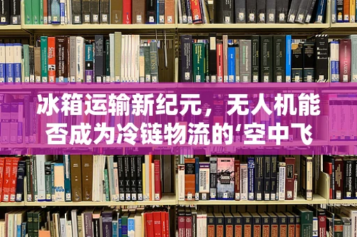 冰箱运输新纪元，无人机能否成为冷链物流的‘空中飞侠’？