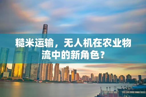 糙米运输，无人机在农业物流中的新角色？